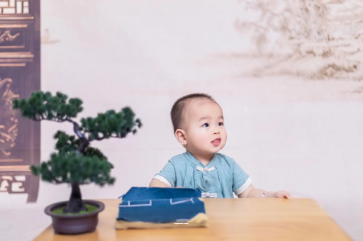 黄南八个月宝宝零食 黄南八个月宝宝零食